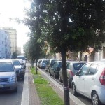 viale commenda caduta anziano