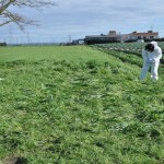 polizia ferimento de matteid