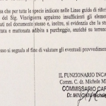 documento