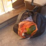 Abbandono selvaggio rifiuti