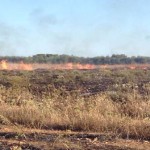 incendio  san pancrazio salentino