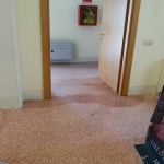 sala nervegna1