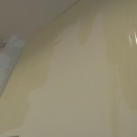sala nervegna6