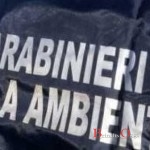 carabinieri-noe