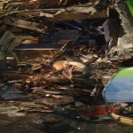 pullman stp incidente grottaglie (2)