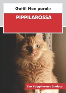 pippilarossa