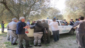 protesta taglio ulivi oria