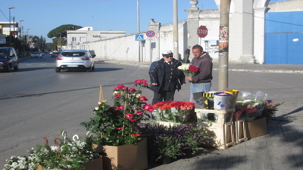 vendtori ambulanti fiori brindisi 3
