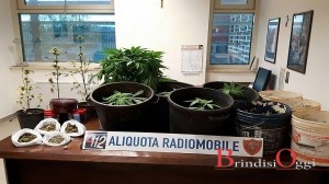 droga sequestro carabinieri 2