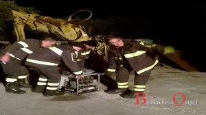 vigili del fuoco salvano daisy 2