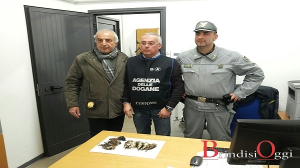 Foto 1 - Personale intervenuto