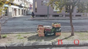 rifiuti campagna amica mesagne