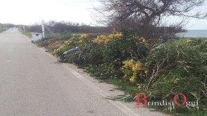 controlli litorale edilizia municipale granchio rosso