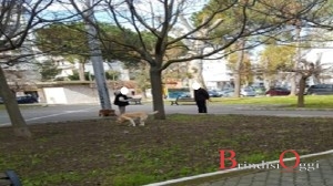 deiezioni canine brindisi 3