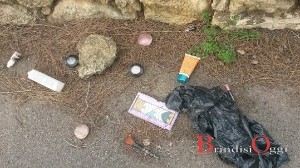 rifiuti mesagne francesca zurlo 3