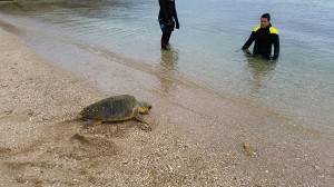 IMG-20160424-WA0014