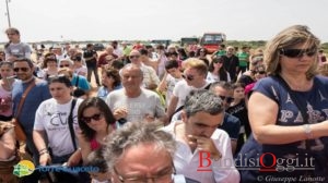 torre guaceto apertura centro soccorso tartarughe - Copia