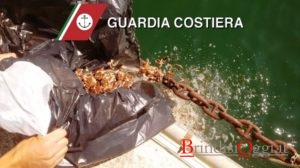datteri-gettati-in-mare