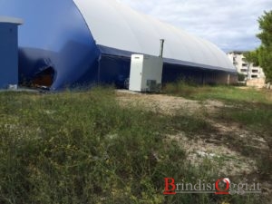 f2d3ba96-a239-4914-ab5f-adafe04e6154-1