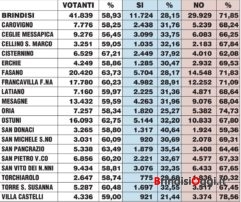 referendum-percentuali