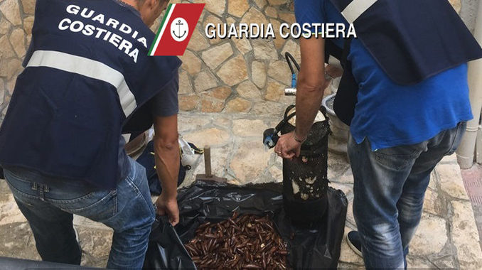 datteri sub porto sequestro guardia costiera
