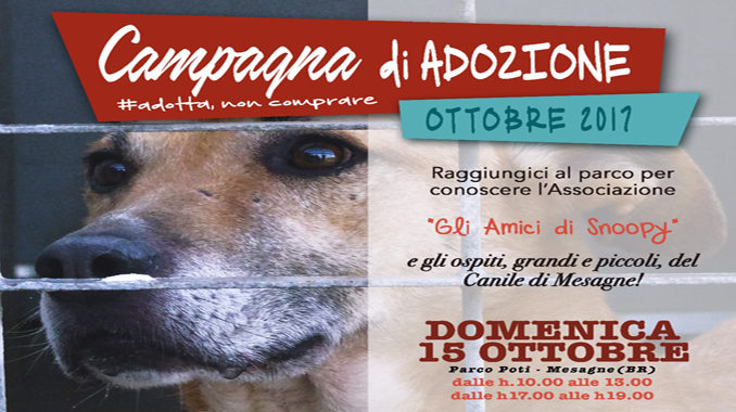 ADOZIONI CANI MESAGNE