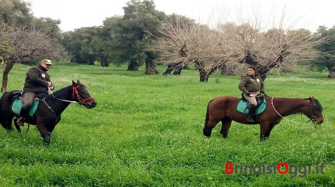 guardie ambientali a cavallo