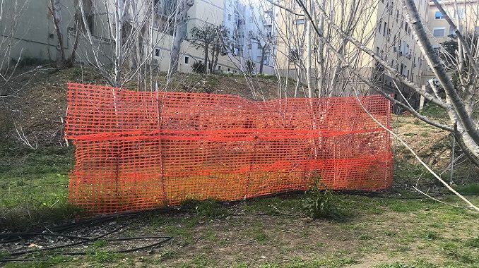 vandalismo dog park+