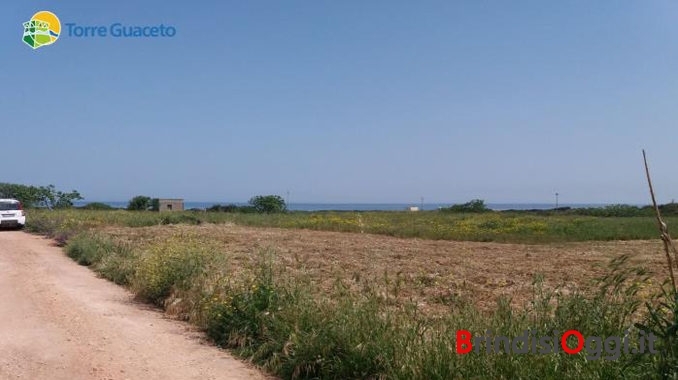 torre guaceto terreno (1)