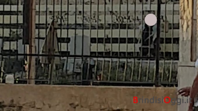 Screenshot_20180518-104445 (1)