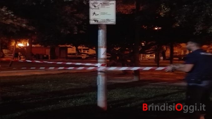 IMG-20180906-WA0003