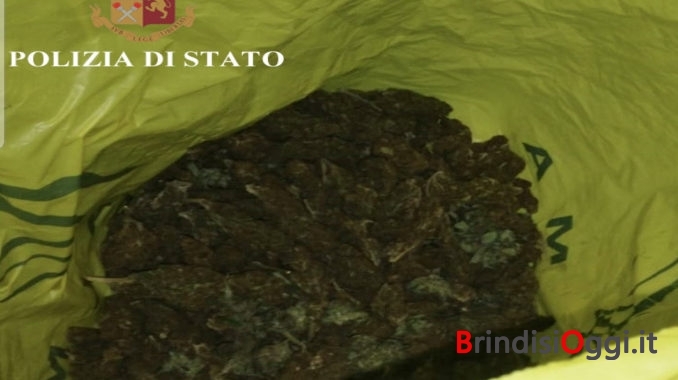 Screenshot_20190211-110615_Gmail