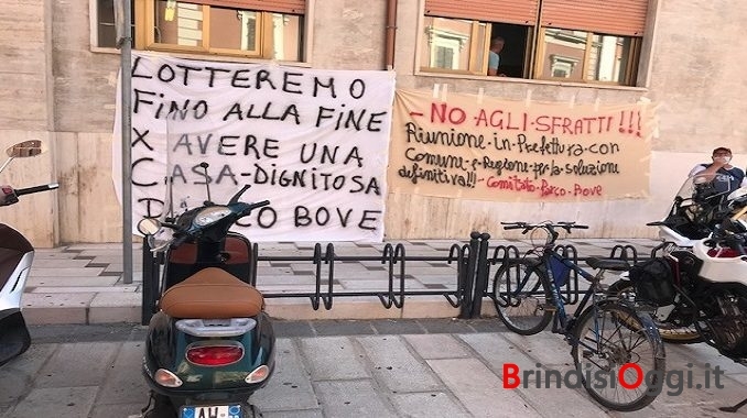 protesta parco bove