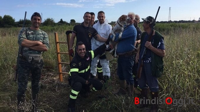 cane salvato pompieri