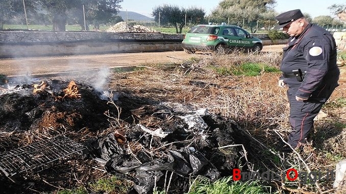 Combustione plastiche Bosco Compare 2