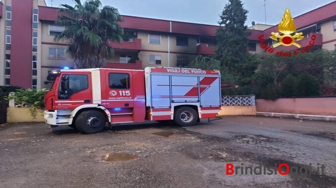 vigili del fuoco (2)