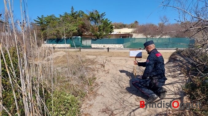 Sbancamento dune 1